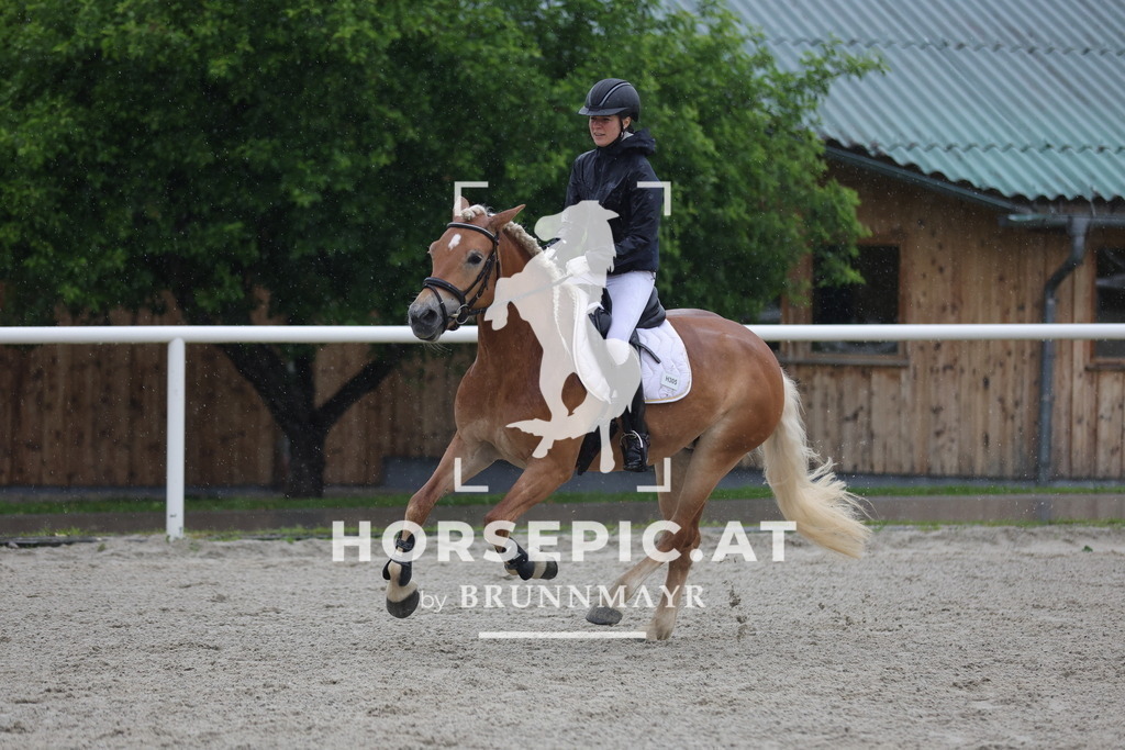 0P6A7642 | Willkommen bei Brunnmayr - Design & Fotografie – Ihrem Spezialisten für Reitturniere und Pferdeveranstaltungen in Oberösterreich, Salzburg und Bayern! Seit über 17 Jahren sind wir leidenschaftlich dabei.