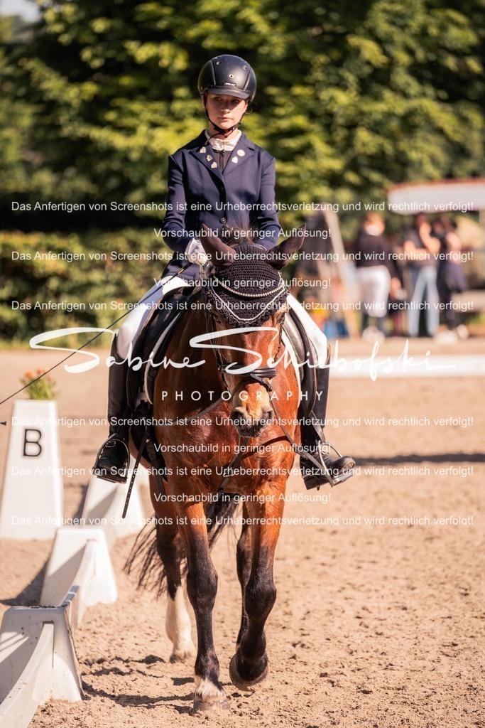 2025_05_31_DSCF2890 | People- und Tierfotografie, Imageaufnahmen, Veranstaltungsfotografie und Wandbilder aus der Natur ★ Made in Germany ✔️ Druck + Downloads ✔️ Naturfotografie in Top Qualität ★ schneller Versand, weltweite Lieferung! - Realisiert mit Pictrs.com