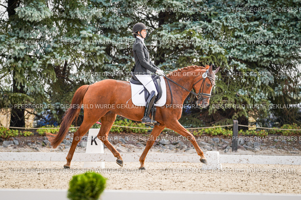 DSC08446 | Pferdegrafie