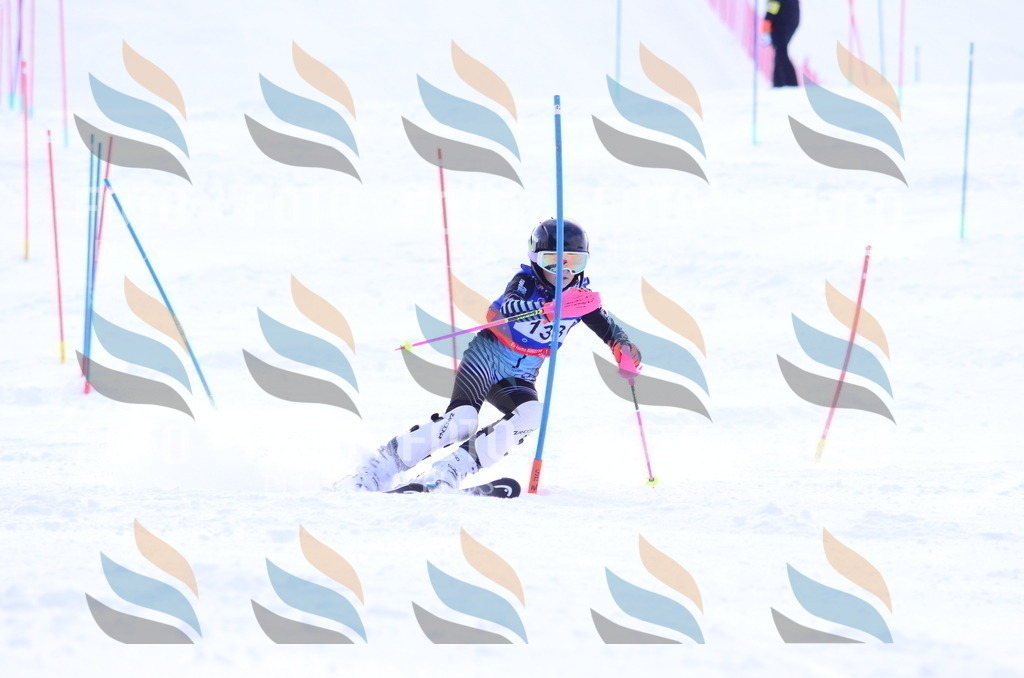 B1793 | holidayphoto