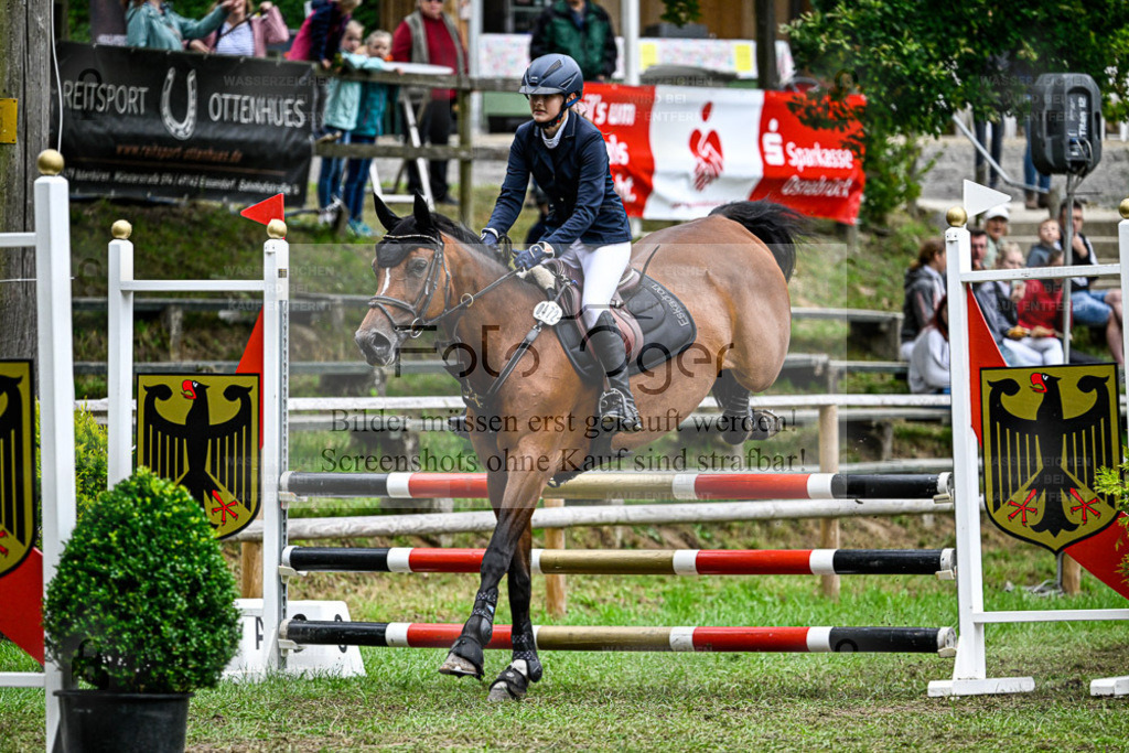 Bissendorfer Reitertage | Entdecke hochwertige Reitturnierfotos von Foto Oger. Professionell, emotional und authentisch – jetzt Lieblingsmomente im Shop bestellen. - Realisiert mit Pictrs.com