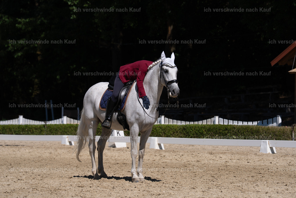 WS_DR_57_sinafilmart_IN03621 | working equitationturnier fotograf videograf stoibphotography marixx film working equitation deutschland reitsport turnierfotografie eventfotografie equestrian events