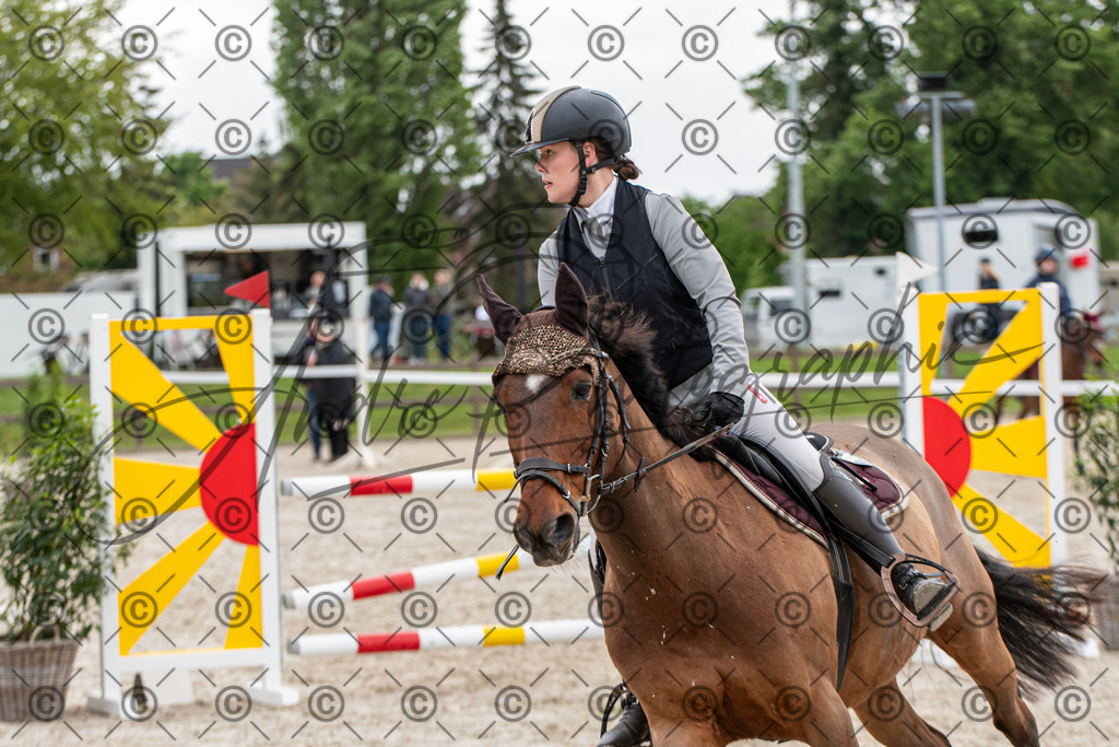 KPT_7880 | andre_photographic