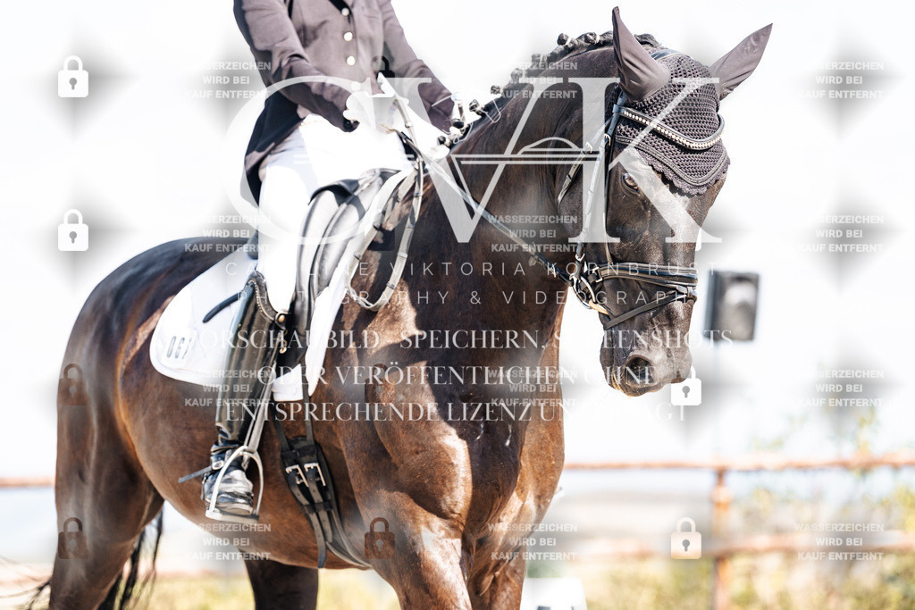 CK902544 | Turnierfotografie Pferdefotografie Trier Rheinland-Pfalz Pferdesport Reitsport Tierfotografie Sportfotografie Pferdevideo Pferdevideografie Equestrianvideography equestrianphotography  - Realisiert mit Pictrs.com