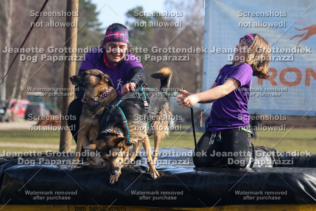 Dog Paparazzi - Strongdog North Mrz26-1354 | Dog Paparazzi Jeanette Grottendiek Fotografie & Videografie - Realisiert mit Pictrs.com