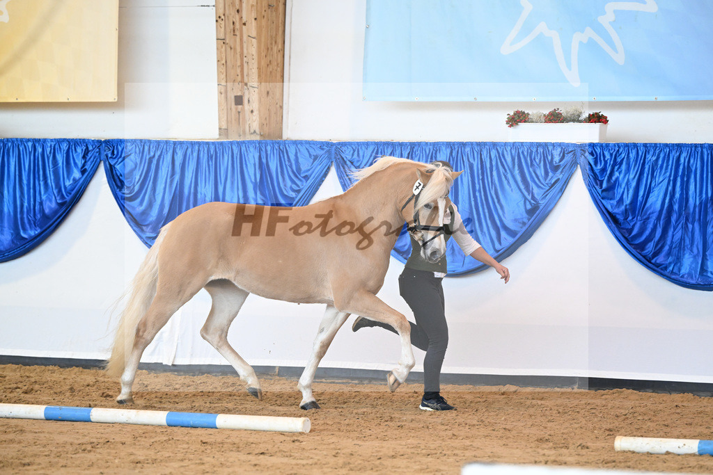 Kat-Nr. 7 Daria v. Armani Ass_Obermaier_60221129 | hf-fotografie - Realisiert mit Pictrs.com