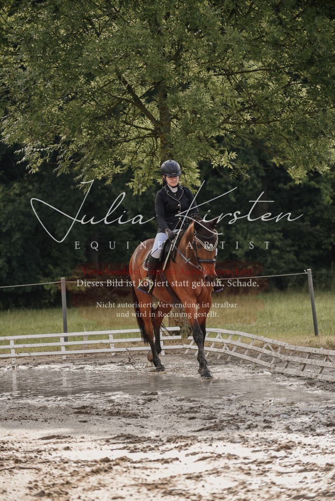 DSC_8436 | Pferde- und Turnierfotografie in Westsachsen. Pferdeportraits, Auftragszeichnungen und intuitive Kunst.