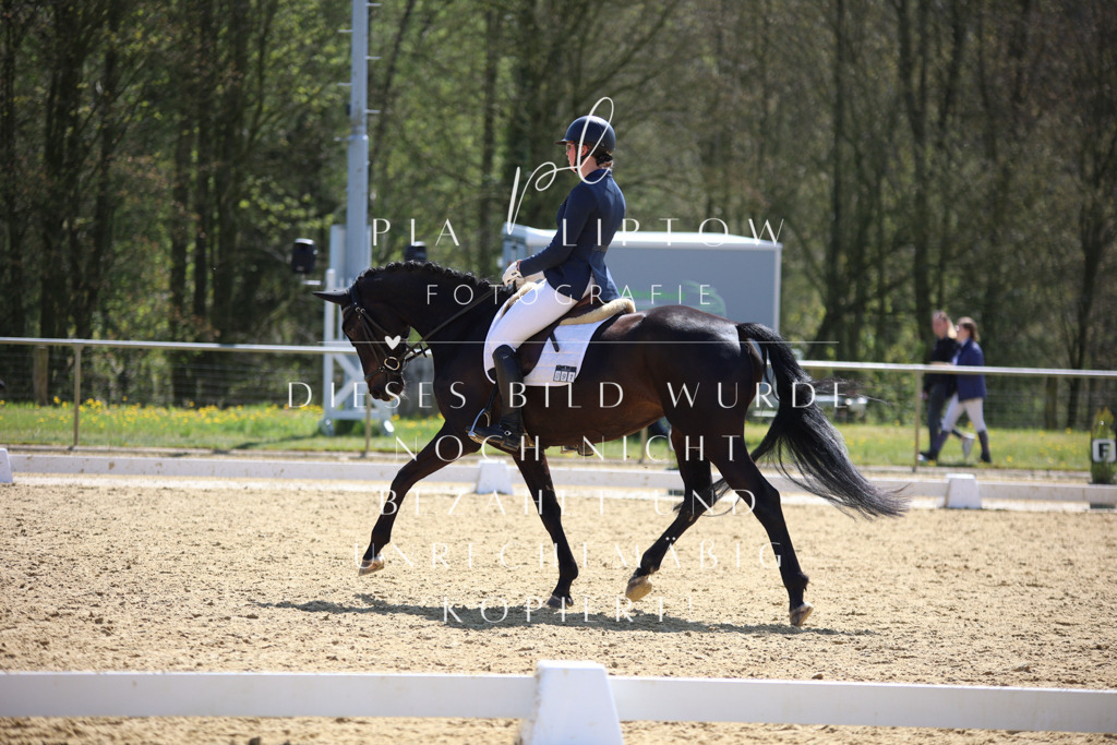 IMGT1977 | pl-fotografie