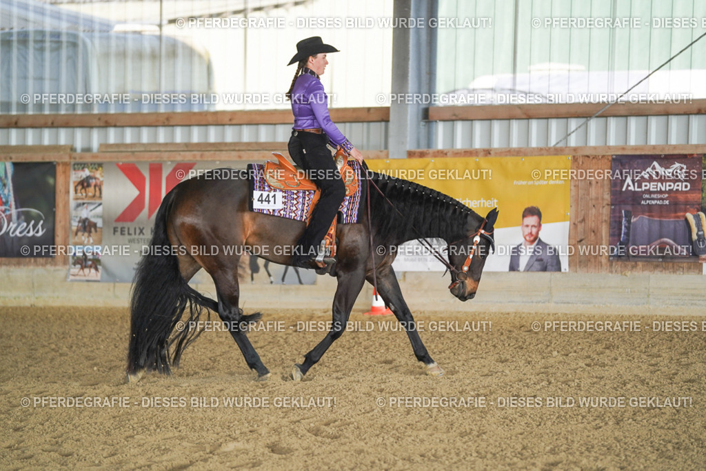 DSC08988 | Pferdegrafie