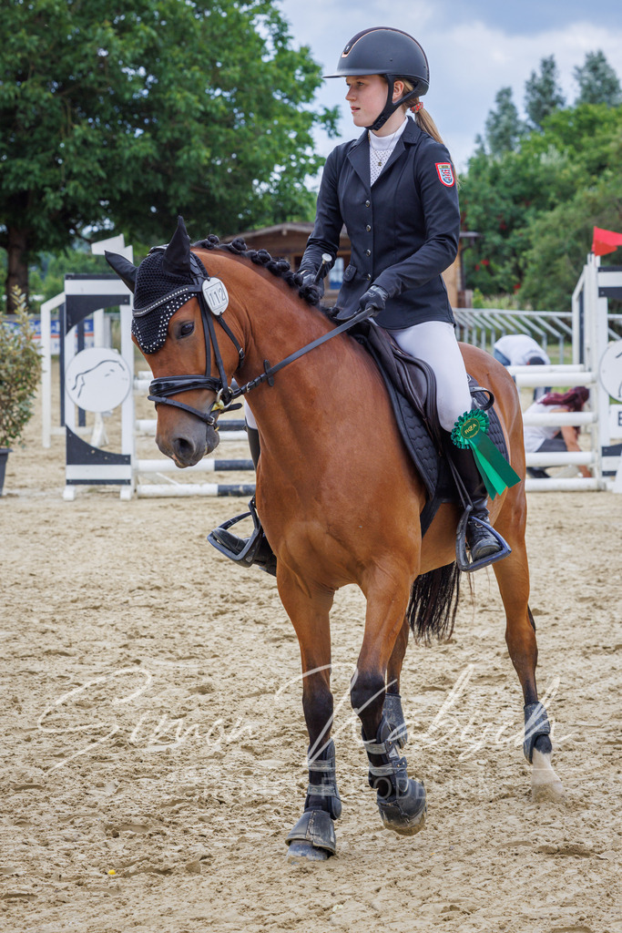20260705-_3LI5669 | Tierfotografie Pferde, Hunde, Katzen, Haustiere.
Turnierfotografie Reitturniere, Reiten, Springreiten, Dressur in Hanau, dem Main-Kinzig-Kreis und dem Rhein-Main- Gebiet um Frankfurt
