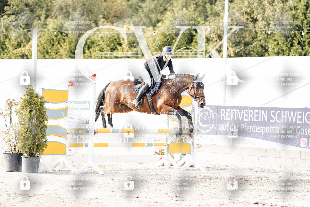CK906451 | Turnierfotografie Pferdefotografie Trier Rheinland-Pfalz Pferdesport Reitsport Tierfotografie Sportfotografie Pferdevideo Pferdevideografie Equestrianvideography equestrianphotography  - Realisiert mit Pictrs.com
