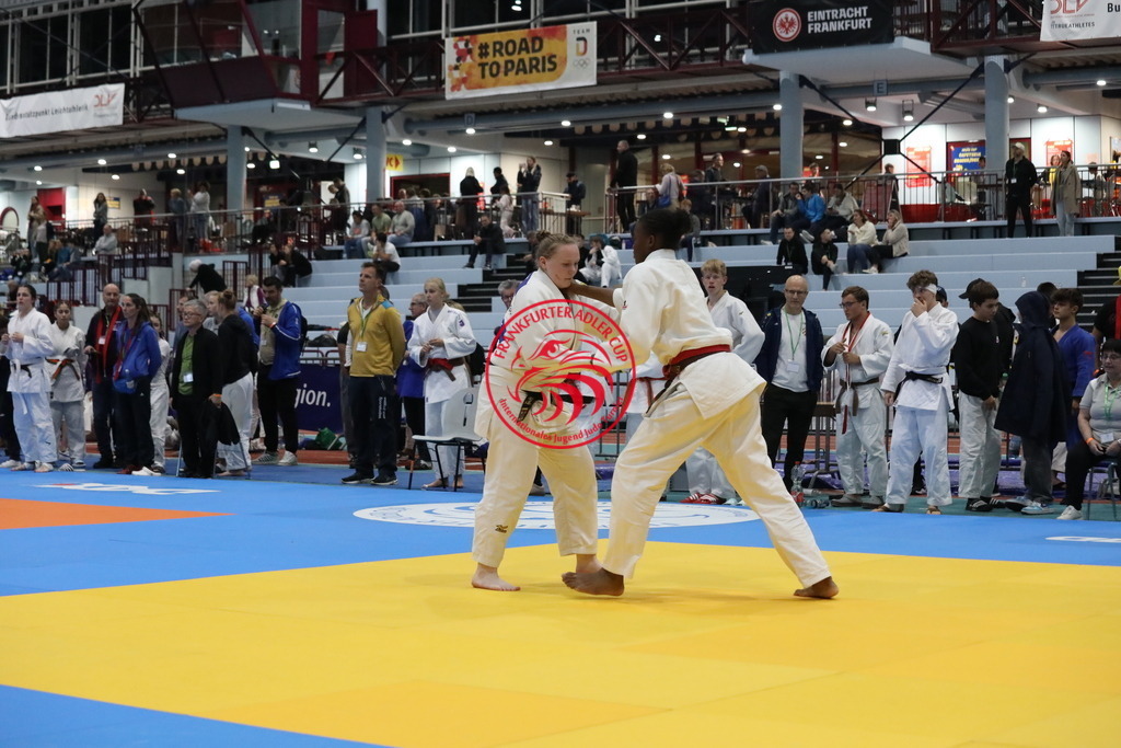 1J7A2592 | Fotos vom Adler Cup - Pictures from Adler Cup

Hier findet Ihr alle Eindrücke und großen Momente der Adler Cup Wochenenden. Here you will find all impressions and great moments of the Adler Cup weekends. - Realisiert mit Pictrs.com