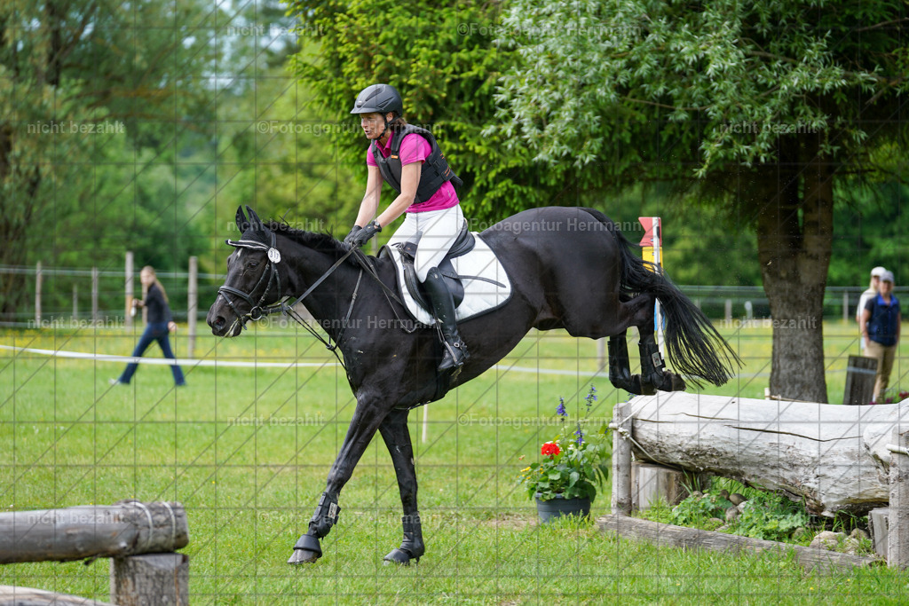 20240518-FAH03937 | Turnierbilder von Niederseon, Turnierfotografen Bayern, Fotoagentur Herrmann, Geländebilder, Reitsportfotografie