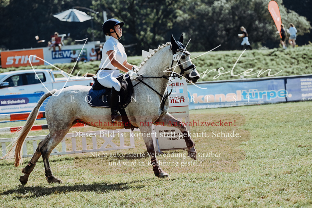DSC_6119 | Pferde- und Turnierfotografie in Westsachsen. Pferdeportraits, Auftragszeichnungen und intuitive Kunst.
