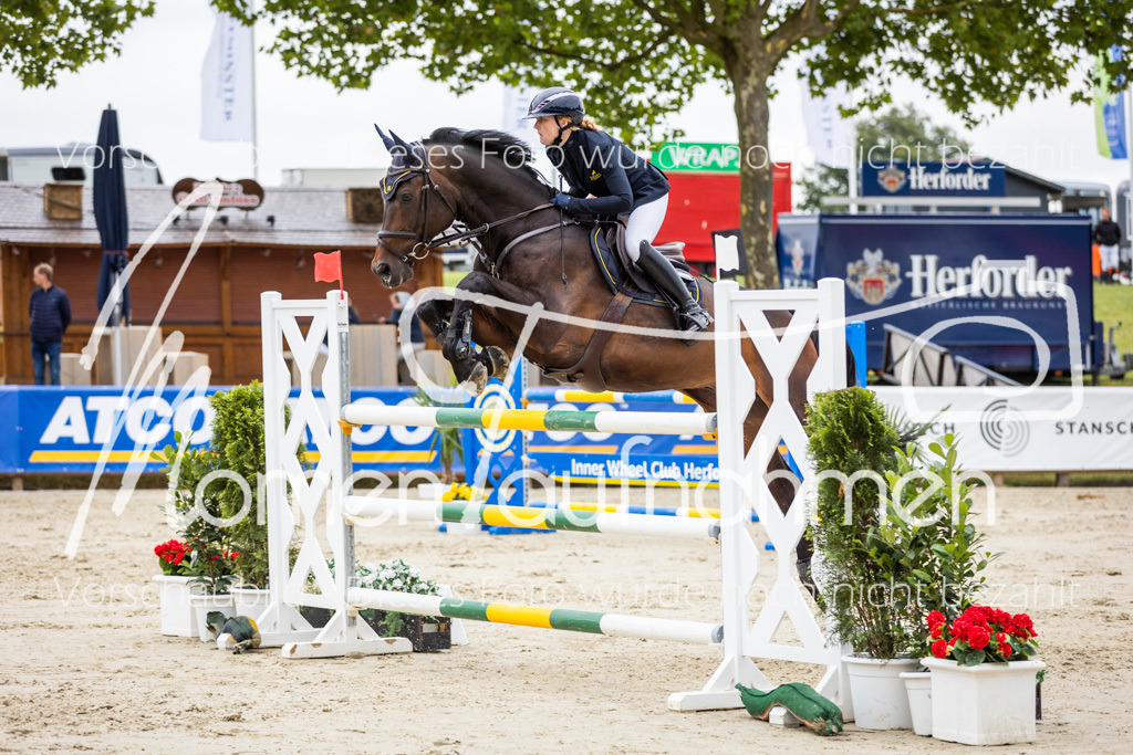 BHO-2PhSpr-M-229 | MomenTaufnahmen Pferdesportfotos