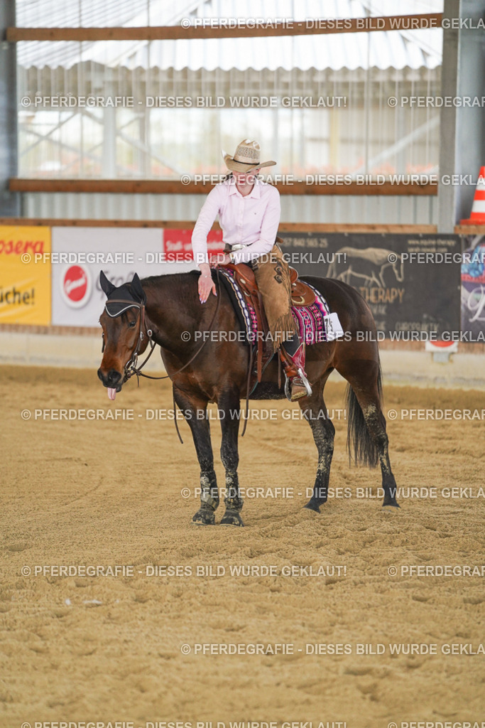 DSC09365 | Pferdegrafie