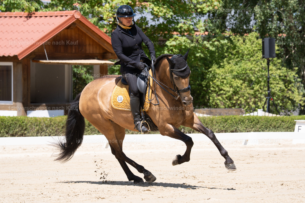 WS_DR_36_sinafilmart_IN08512 | working equitationturnier fotograf videograf stoibphotography marixx film working equitation deutschland reitsport turnierfotografie eventfotografie equestrian events