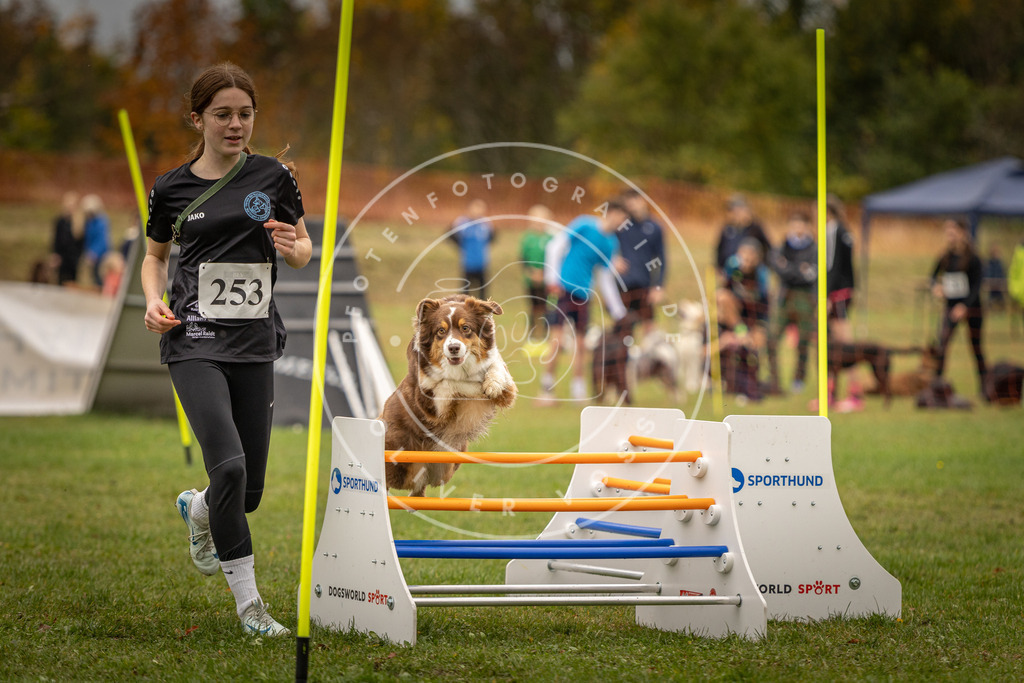 Pfotenfotografie_DV3A6191 | Hundefotografie, Tierfotograf, Pfotenfotografie, Fotoshooting Hund, Hunde Portrait, Hundesport, Hundeportraits, Heideshooting, Hunde, Sportfotograf, Hundefotograf, Turnierhundsport, THS,  - Realisiert mit Pictrs.com