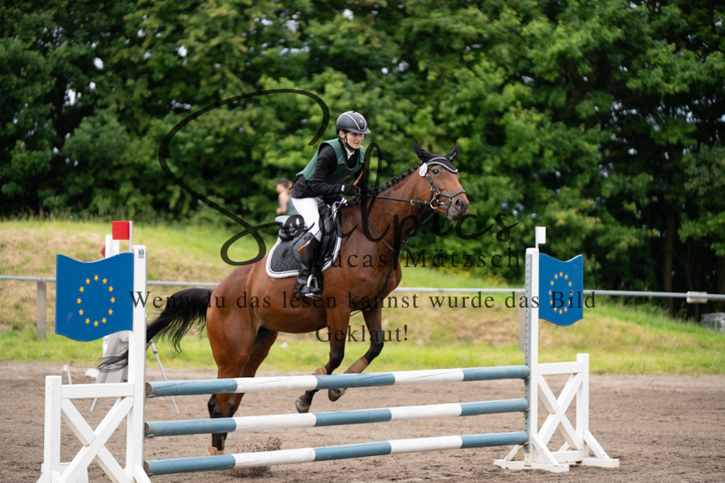 A7V03866 | Pferdefotograf