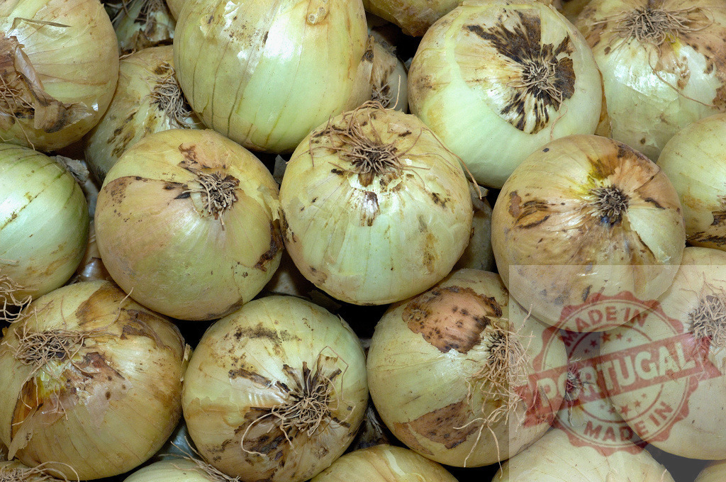 Fresh harvest sweet yellow onions for cooking | Pile of fresh yellow onions showing natural blemishes ready for market - Realized with Pictrs.com