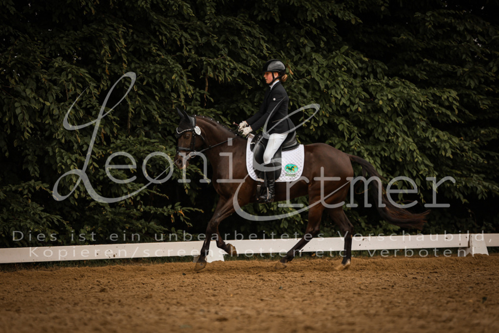 DoDrA200362 | Leoni Ertmer Photography - Realisiert mit Pictrs.com