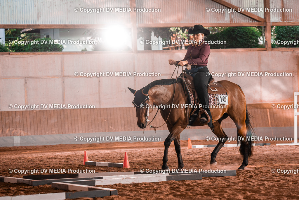 NE300128 | dv-media-shop - Realisiert mit Pictrs.com