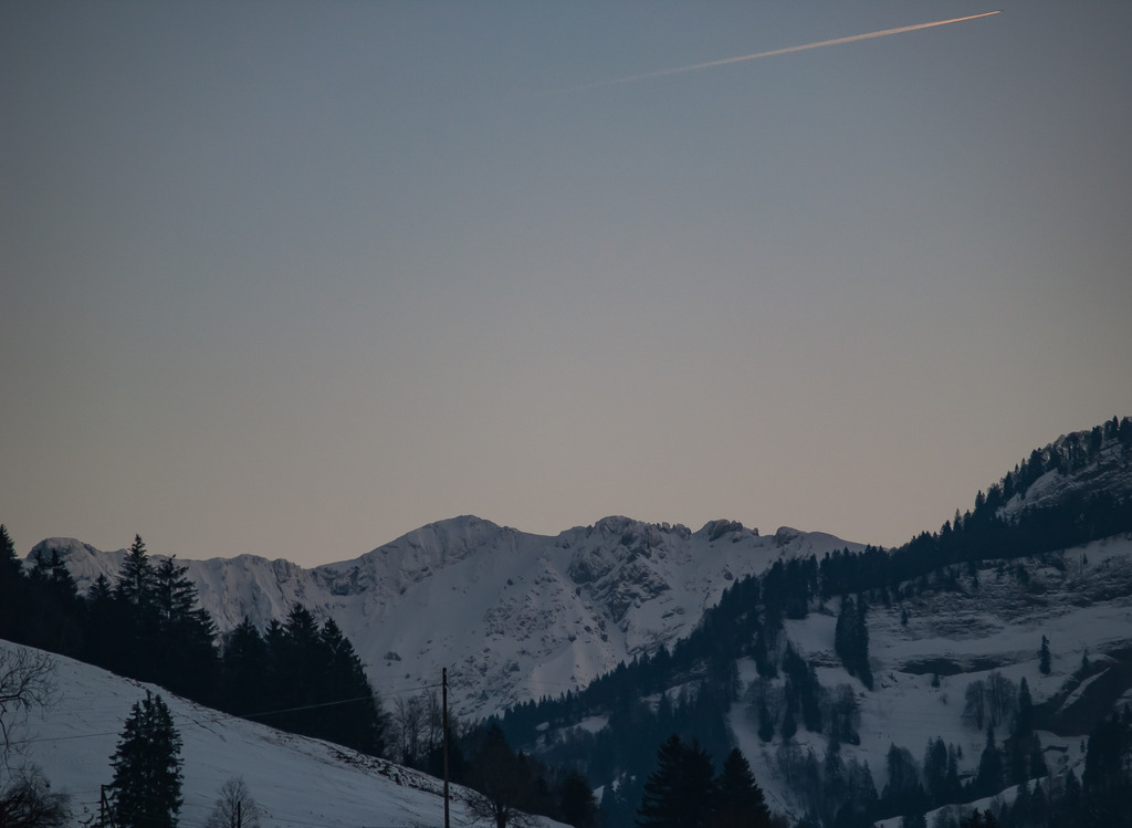 PSX_20230212_235048 | OLYMPUS DIGITAL CAMERA - Realisiert mit Pictrs.com