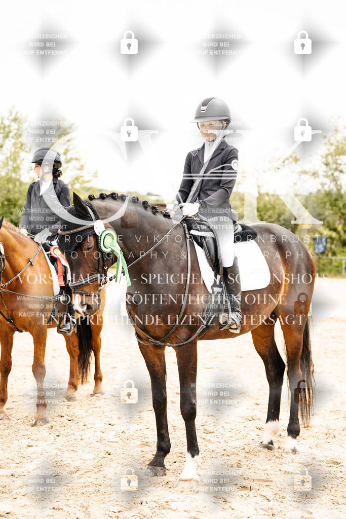 CK703673 | Turnierfotografie Pferdefotografie Trier Rheinland-Pfalz Pferdesport Reitsport Tierfotografie Sportfotografie Pferdevideo Pferdevideografie Equestrianvideography equestrianphotography  - Realisiert mit Pictrs.com