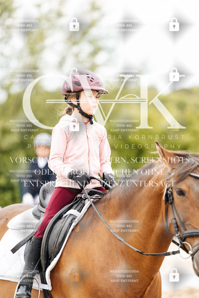 CK903727 | Turnierfotografie Pferdefotografie Trier Rheinland-Pfalz Pferdesport Reitsport Tierfotografie Sportfotografie Pferdevideo Pferdevideografie Equestrianvideography equestrianphotography  - Realisiert mit Pictrs.com