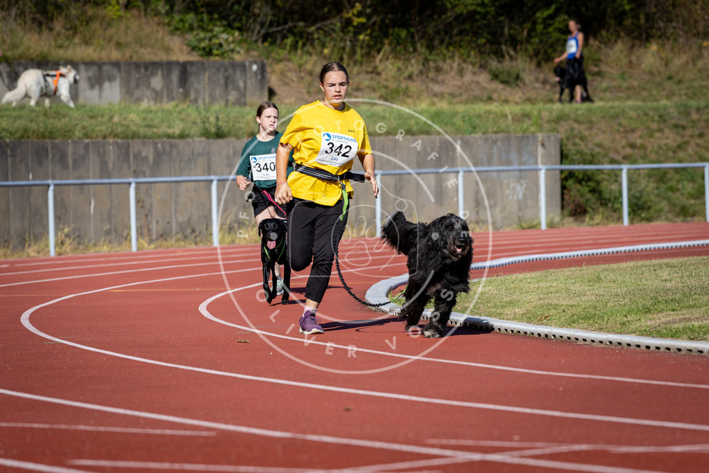 Pfotenfotografie_DV3A8069 | Hundefotografie, Tierfotograf, Pfotenfotografie, Fotoshooting Hund, Hunde Portrait, Hundesport, Hundeportraits, Heideshooting, Hunde, Sportfotograf, Hundefotograf, Turnierhundsport, THS,  - Realisiert mit Pictrs.com