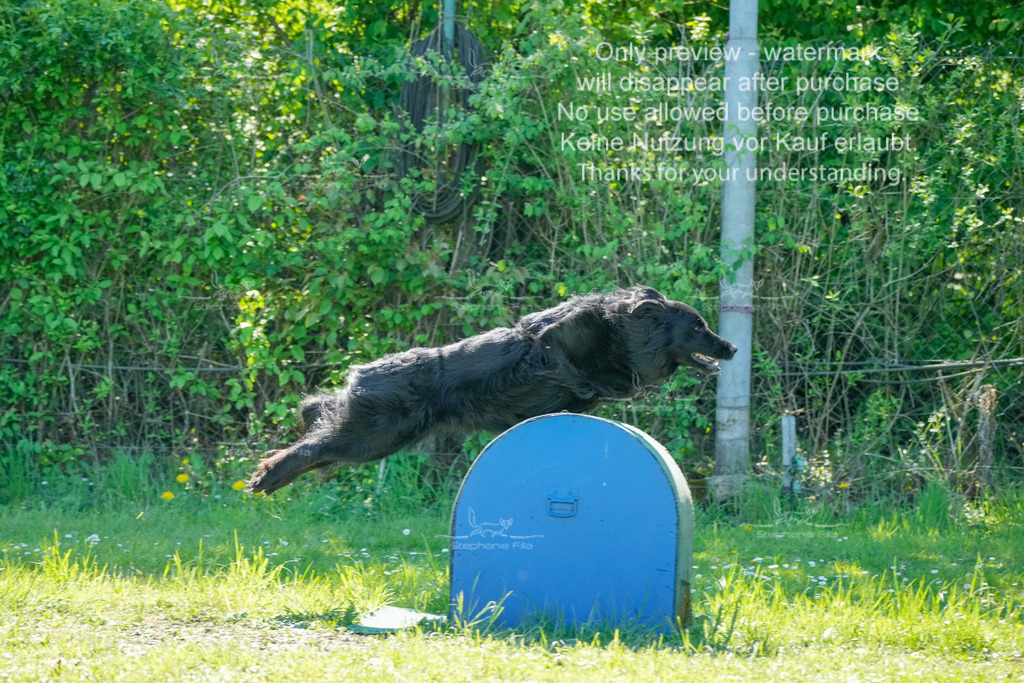 Sa_VK3_03-68 | stephaniefillaphotographie - Realisiert mit Pictrs.com