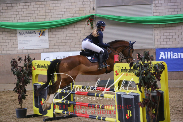 IMG_0694 | Turnierfotos kaufen im Webshop von Daniel Kuhl Photography – entdecke professionelle Reitsportfotos aus Turnieren & Events. Hochwertige Turnierbilder online bestellen & sichern. Jetzt Fotos von Reitsportturnieren kaufen!