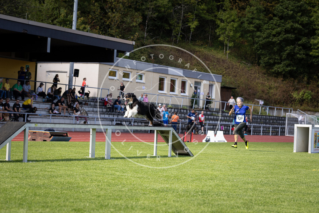 Pfotenfotografie_DV3A8734 | Hundefotografie, Tierfotograf, Pfotenfotografie, Fotoshooting Hund, Hunde Portrait, Hundesport, Hundeportraits, Heideshooting, Hunde, Sportfotograf, Hundefotograf, Turnierhundsport, THS,  - Realisiert mit Pictrs.com