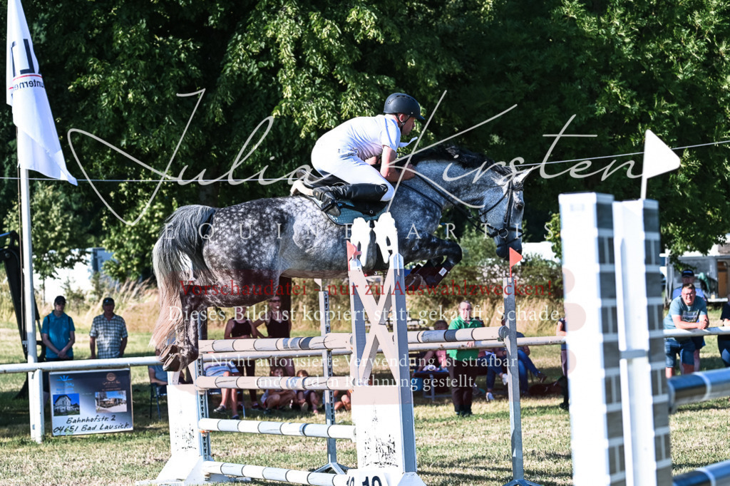 DSC_2661 | Pferde- und Turnierfotografie in Westsachsen. Pferdeportraits, Auftragszeichnungen und intuitive Kunst.