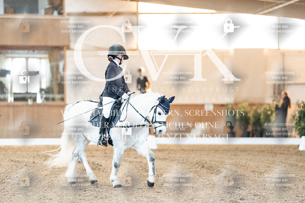 CK906383 | Turnierfotografie Pferdefotografie Trier Rheinland-Pfalz Pferdesport Reitsport Tierfotografie Sportfotografie Pferdevideo Pferdevideografie Equestrianvideography equestrianphotography  - Realisiert mit Pictrs.com