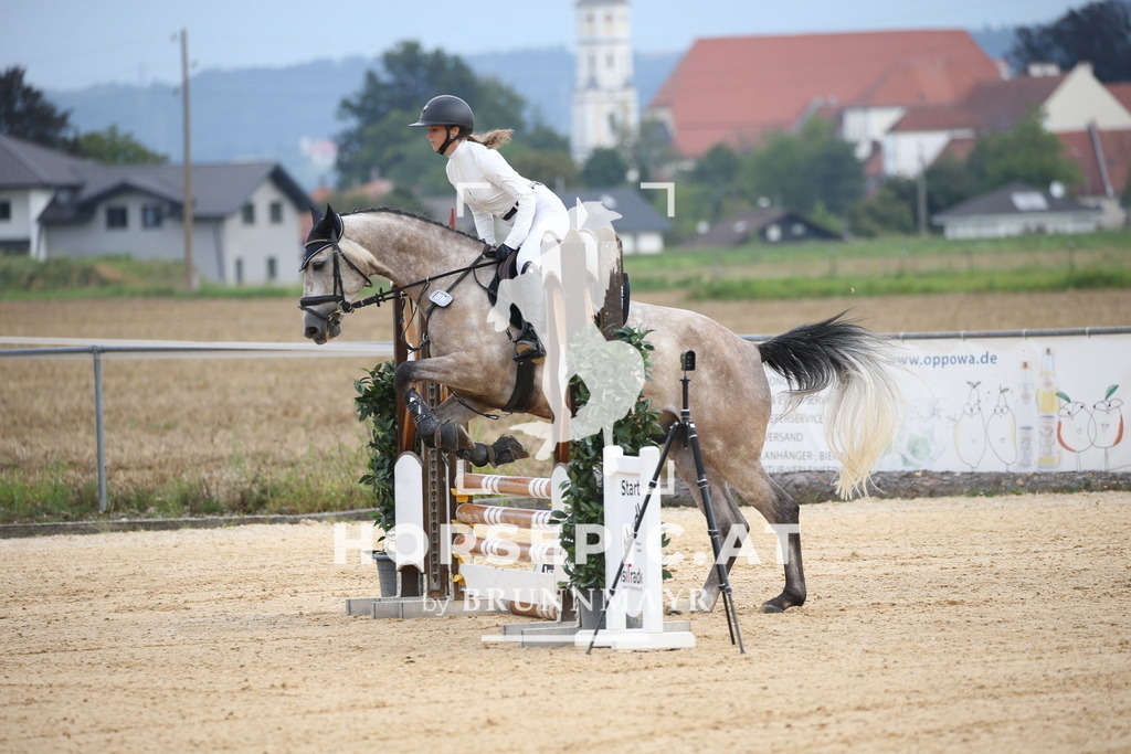 DL2Q3333 | Willkommen bei Brunnmayr - Design & Fotografie – Ihrem Spezialisten für Reitturniere und Pferdeveranstaltungen in Oberösterreich, Salzburg und Bayern! Seit über 17 Jahren sind wir leidenschaftlich dabei.