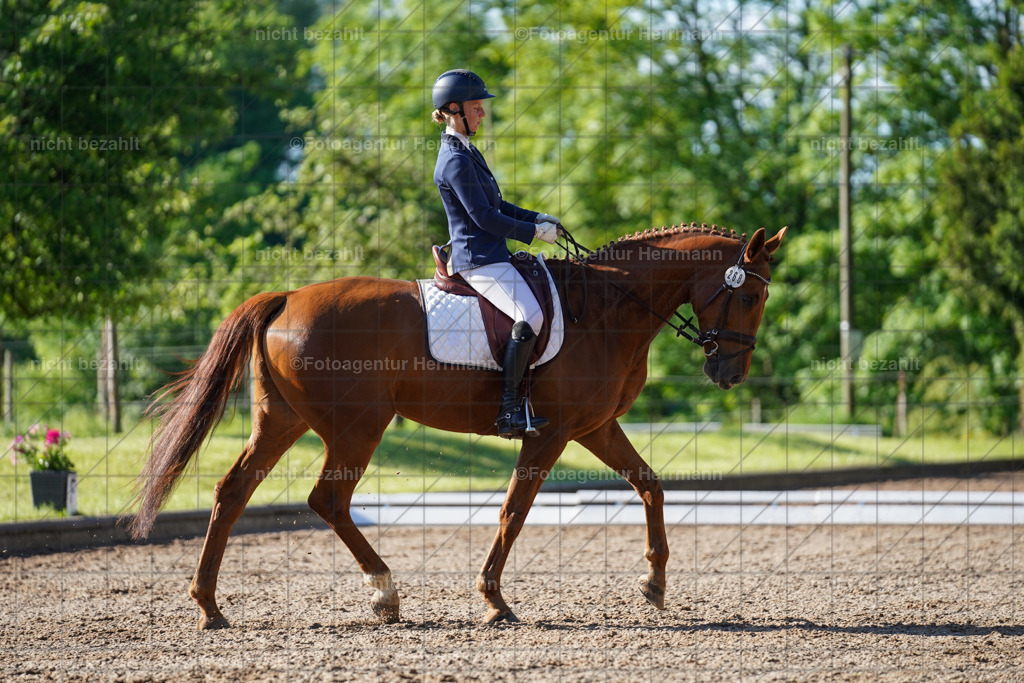 20240519-FAH04354 | Turnierbilder Niederseeon 2024, Vielseitigkeitsdressur, Reitsportbilder aus dem Landkreit Ebersberg, Gut Steinsee, RC Steinsee, Fotoagentur Herrmann