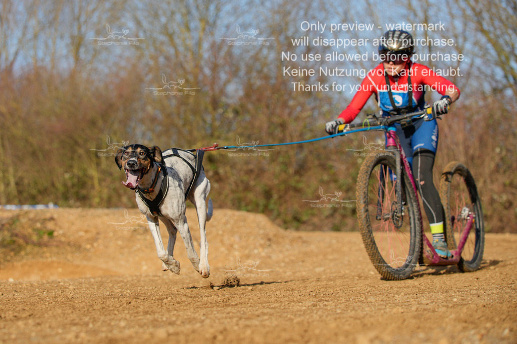 So_DVGBSP2025_Scooter (251 von 286) | stephaniefillaphotographie - Realisiert mit Pictrs.com