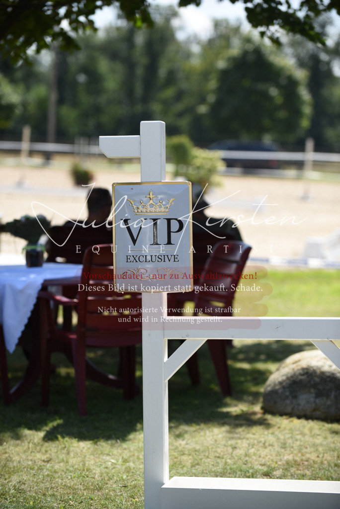 DSC_8892 | Pferde- und Turnierfotografie in Westsachsen. Pferdeportraits, Auftragszeichnungen und intuitive Kunst.