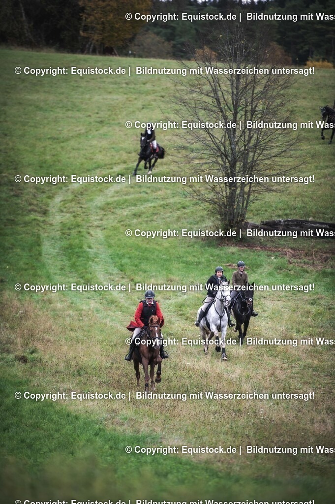 20241013_Jagd-Marbach_0302 | Foto: Thomas Hartig