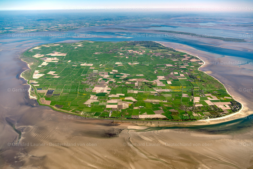 3801716 | Föhr, Nationalpark Schleswig-Holsteinisches Wattenmeer