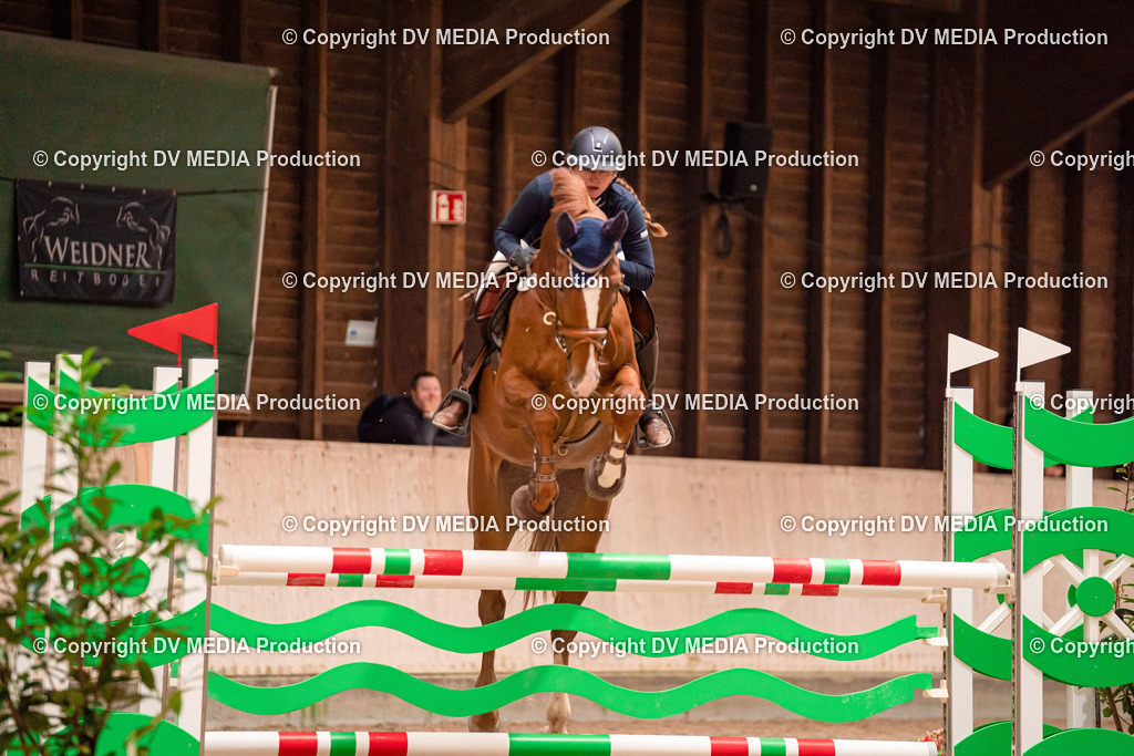 Springen Tag 3-027 | dv-media-shop - Realisiert mit Pictrs.com