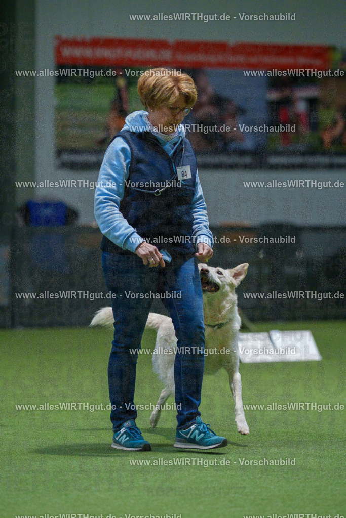 7R507869 | Professionelle Tierfotografie in Mönchengladbach von Daniel Wirth (allesWIRTHgut). Liebevolle & natürliche Bilder von Hunden & Katzen für unvergessliche Erinnerungen.