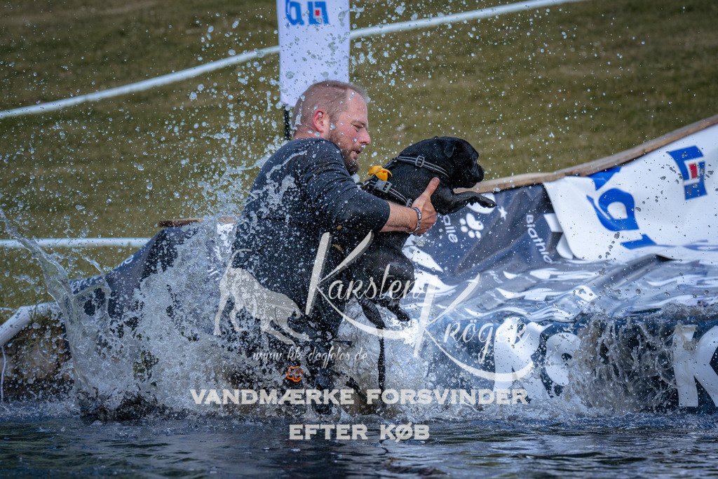 _ZZ922070923 | kk-dogfotos
