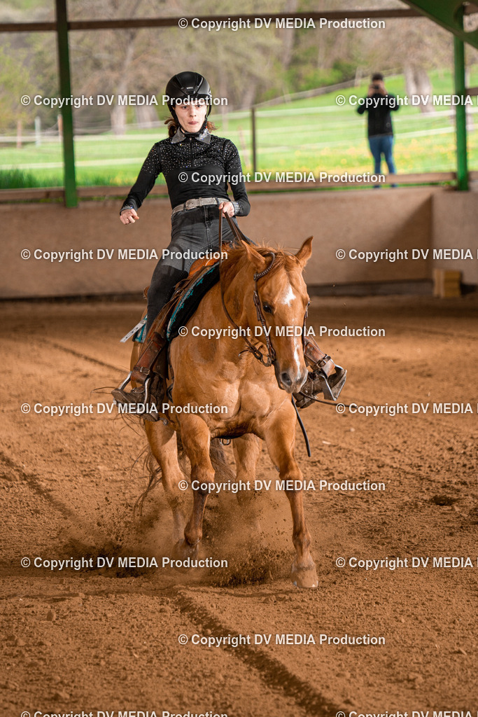 BAL00989 | dv-media-shop - Realisiert mit Pictrs.com