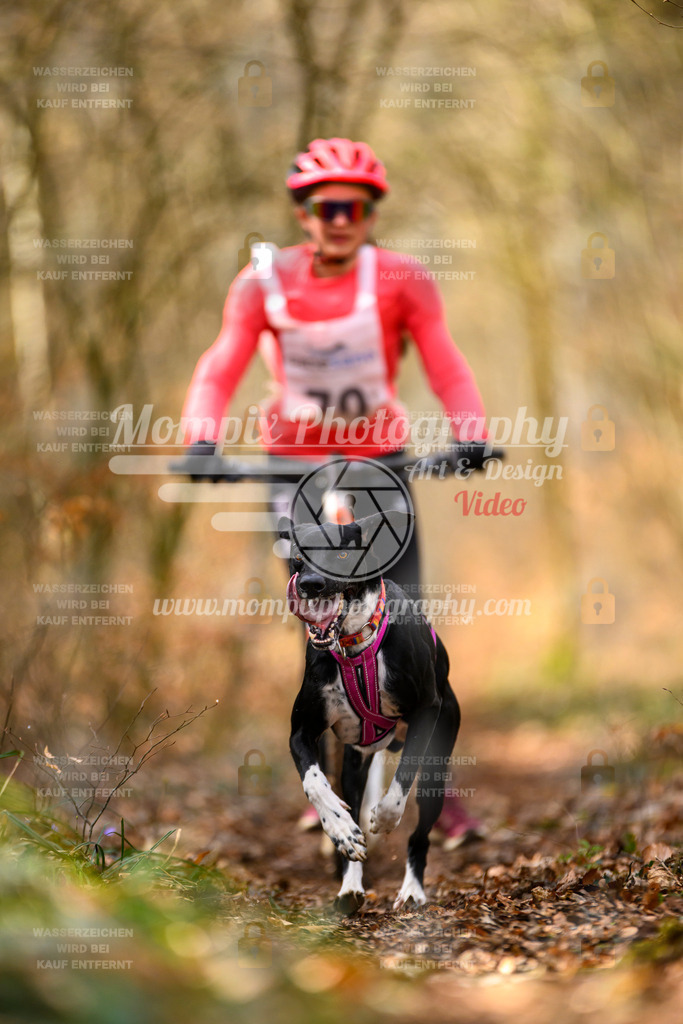MompixPhotography_ReiatRennen2024_SO_DS1-14 | PayLife
