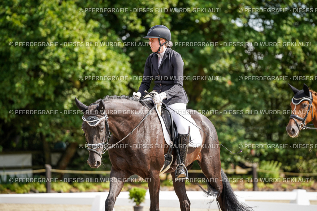 DSC07207 | Pferdegrafie