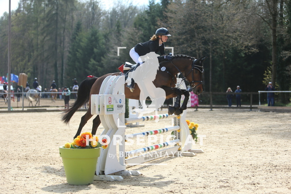 DL2Q9346 | Willkommen bei Brunnmayr - Design & Fotografie – Ihrem Spezialisten für Reitturniere und Pferdeveranstaltungen in Oberösterreich, Salzburg und Bayern! Seit über 17 Jahren sind wir leidenschaftlich dabei.