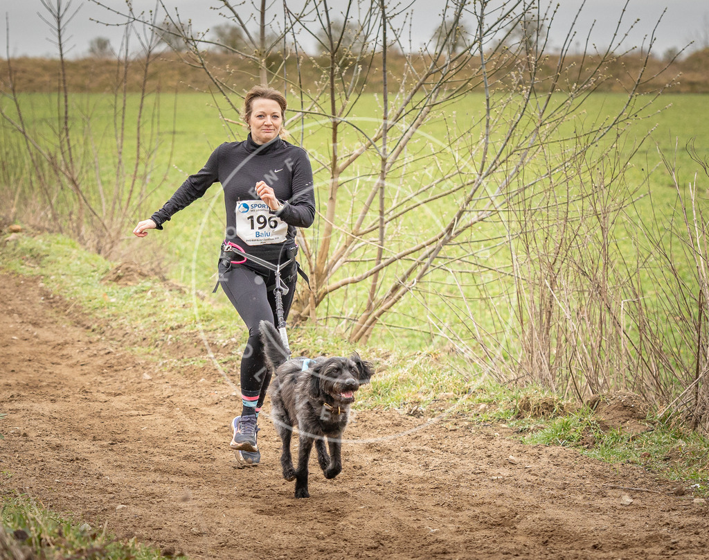 DV3A2350 | Hundefotografie, Tierfotograf, Pfotenfotografie, Fotoshooting Hund, Hunde Portrait, Hundesport, Hundeportraits, Heideshooting, Hunde, Sportfotograf, Hundefotograf, Turnierhundsport, THS,  - Realisiert mit Pictrs.com