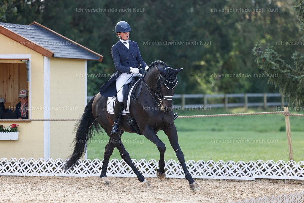 09_1-115-DRESSUR  S_  -StoibPH-5601 | working equitationturnier fotograf videograf stoibphotography marixx film working equitation deutschland reitsport turnierfotografie eventfotografie equestrian events